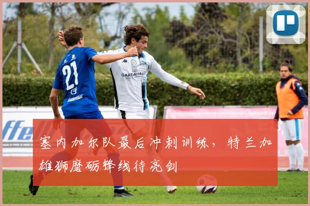 塞内加尔队最后冲刺训练，特兰加雄狮磨砺锋线待亮剑 - 澳客网推荐