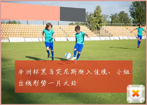 非洲杯黑马突尼斯渐入佳境，小组出线形势一片大好 - 澳客网推荐