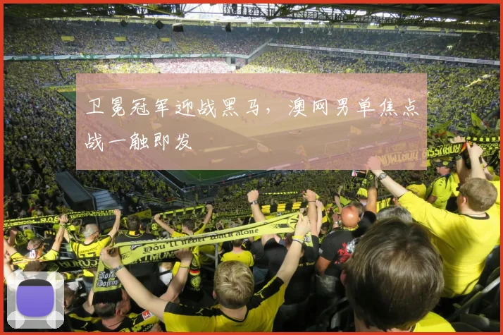卫冕冠军迎战黑马,澳网男单焦点战一触即发 - 澳客网推荐